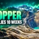copper 10 week rally longest since 1994