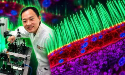 Nikon rechecks Ning Xu 2026 cilia prize video