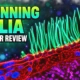 Nikon Small World in Motion AI cilia video review